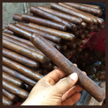 Corvette 7x60 Maduro