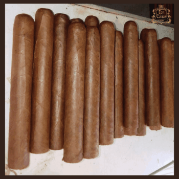 Corona Dominicano  6x60